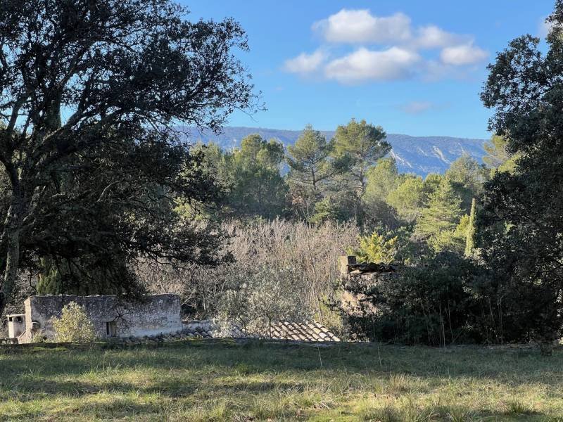 House in Ménerbes, Provence-Alpes-Côte d'Azur, France 4 - 17257354