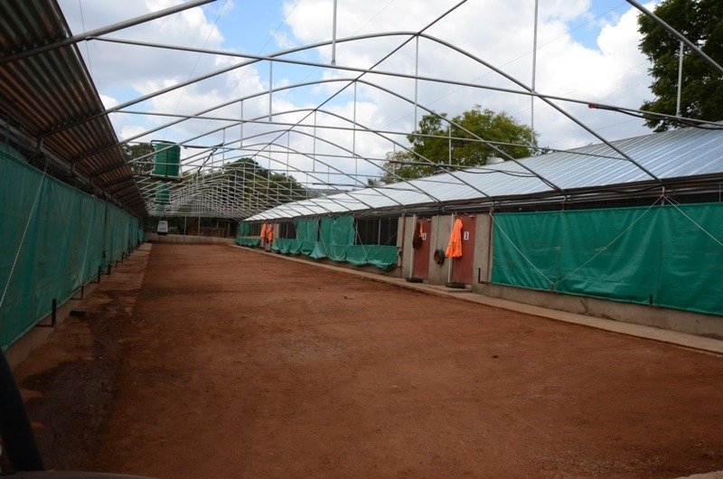 Farm Ranch in Mokopane, Limpopo, South Africa 2 - 17251463