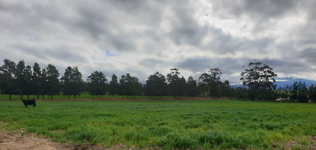 Farm Ranch in Swellendam, Western Cape, South Africa 3 - 17253446