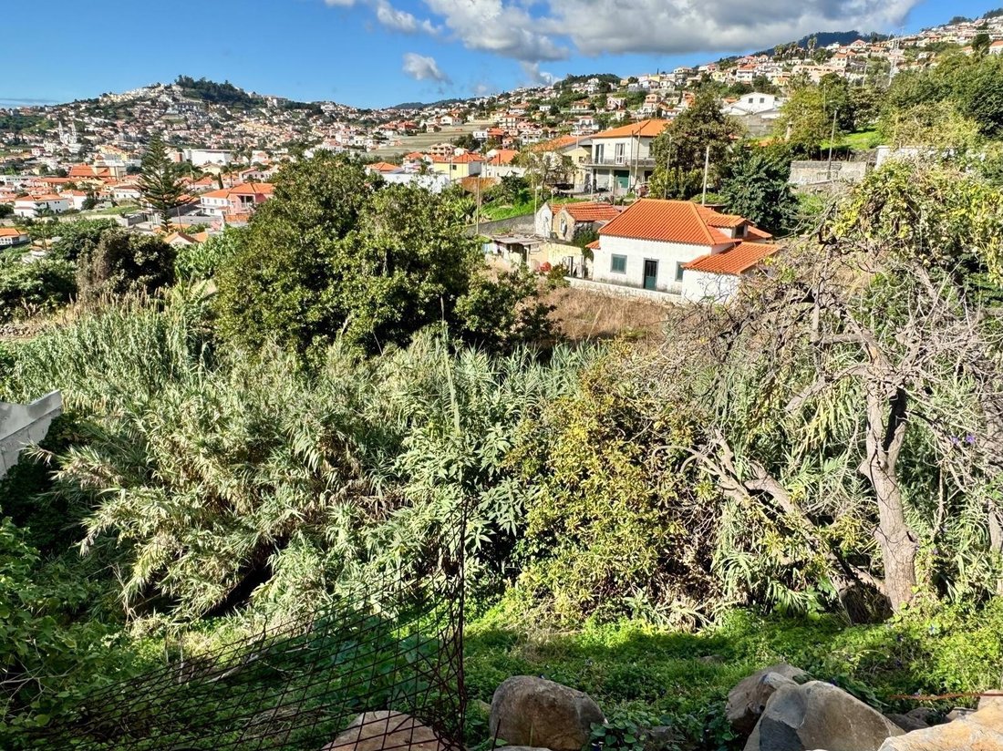 House in Sao Roque, Madeira, Portugal 4 - 17253032