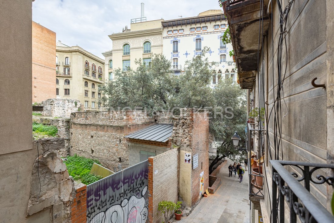 Apartment in Ciutat Vella, Barcelona, Spain 5 - 17255352