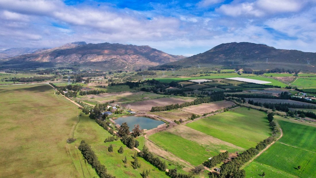 Farm Ranch in Johannesburg, Gauteng, South Africa 3 - 17252363
