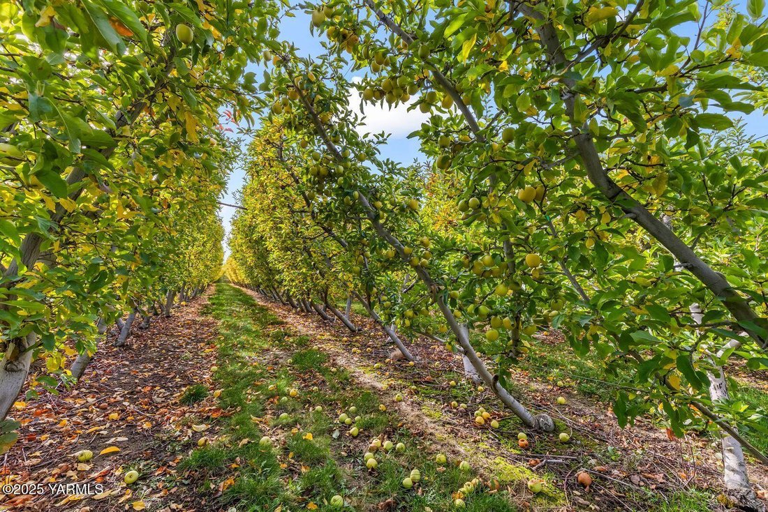 Land in Zillah, Washington, United States 5 - 17248950