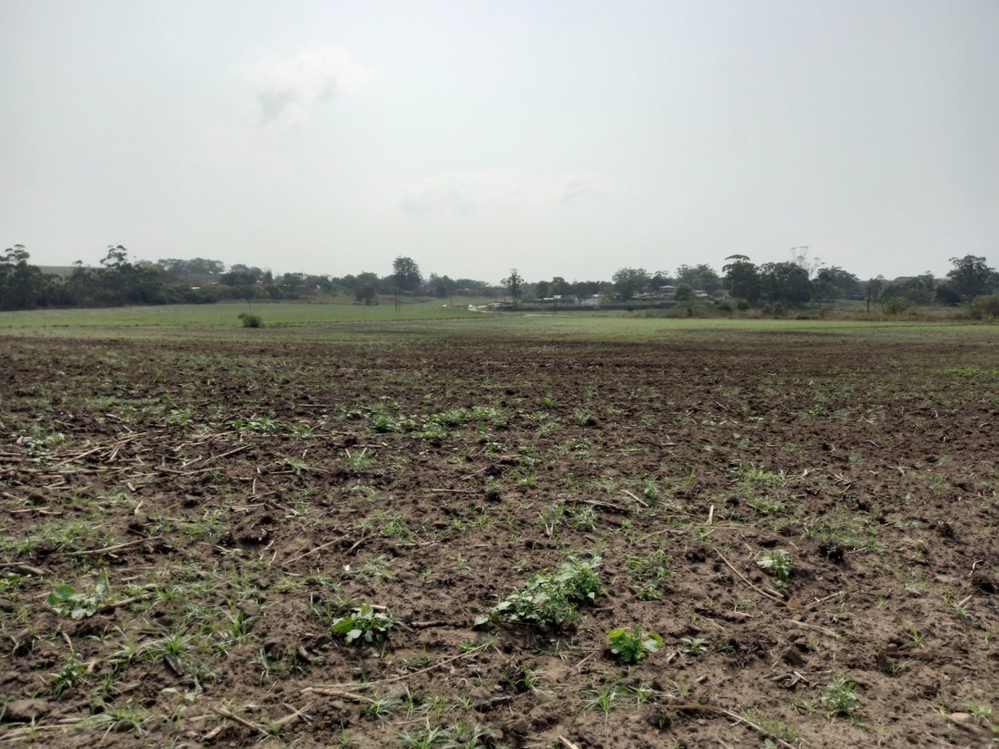 Farm Ranch in Johannesburg, Gauteng, South Africa 1 - 17256049