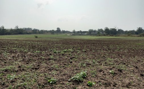 Farm Ranch in Westbrook, KwaZulu-Natal, South Africa 1