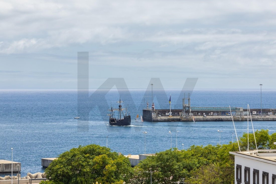 Apartment in Se, Madeira, Portugal 3 - 17253540