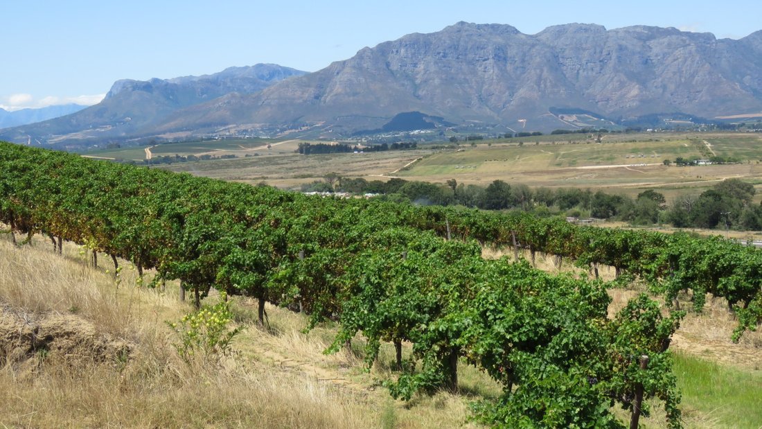 Farm Ranch in Stellenbosch, Western Cape, South Africa 1 - 17253476
