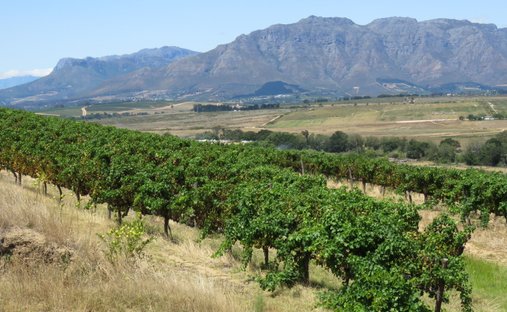 Farm Ranch in Stellenbosch, Western Cape, South Africa 1