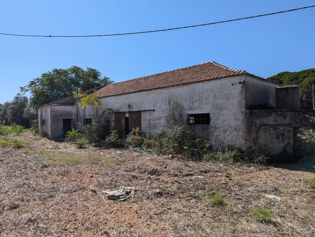 Farm Ranch in Santiago do Cacem, Santa Cruz e Sao Bartolomeu da Serra, Setubal, Portugal 1 - 17252412