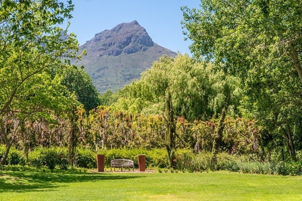 Farm Ranch in Stellenbosch, Western Cape, South Africa 5 - 17253313