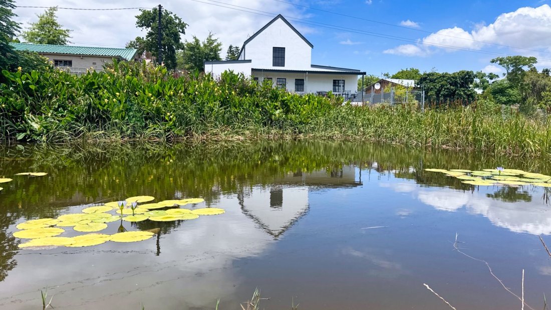 House in Jamestown, Paradyskloof, Western Cape 3 - 17251380