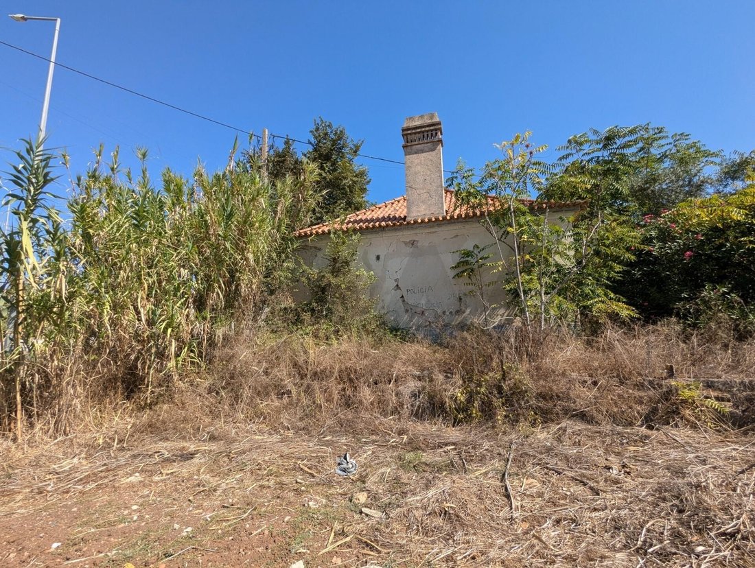 Farm Ranch in Santiago do Cacem, Santa Cruz e Sao Bartolomeu da Serra, Setubal, Portugal 4 - 17252412