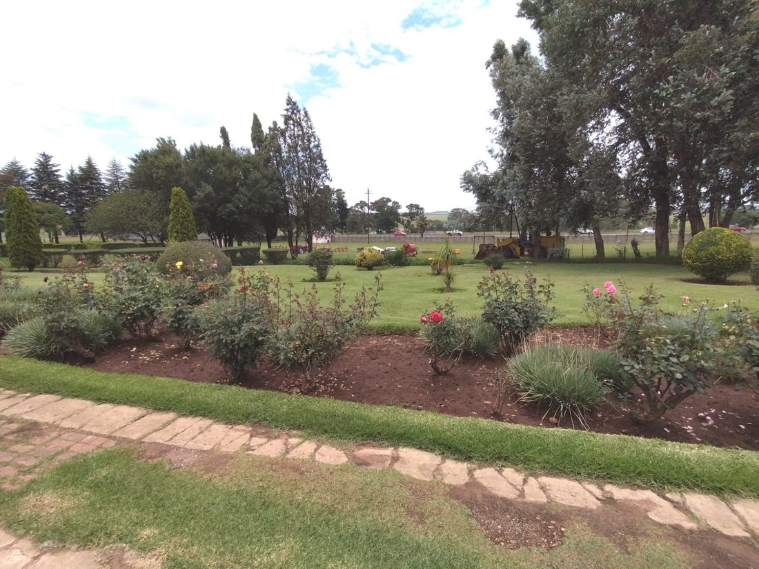 Farm Ranch in Ermelo, Mpumalanga, South Africa 4 - 17251839