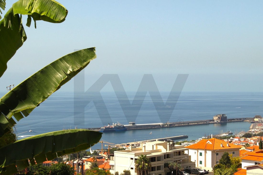 House in Santa Maria Maior, Madeira, Portugal 3 - 17252725