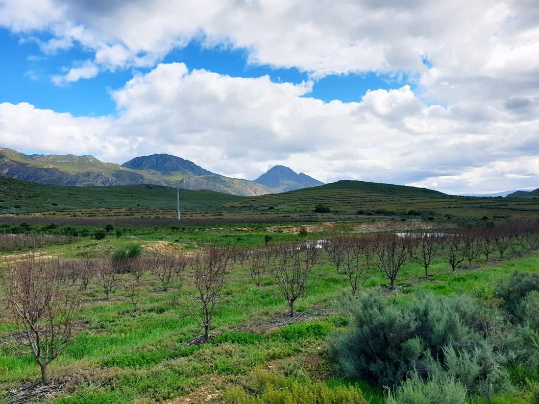 Farm Ranch in Montagu, Western Cape, South Africa 4 - 17253444