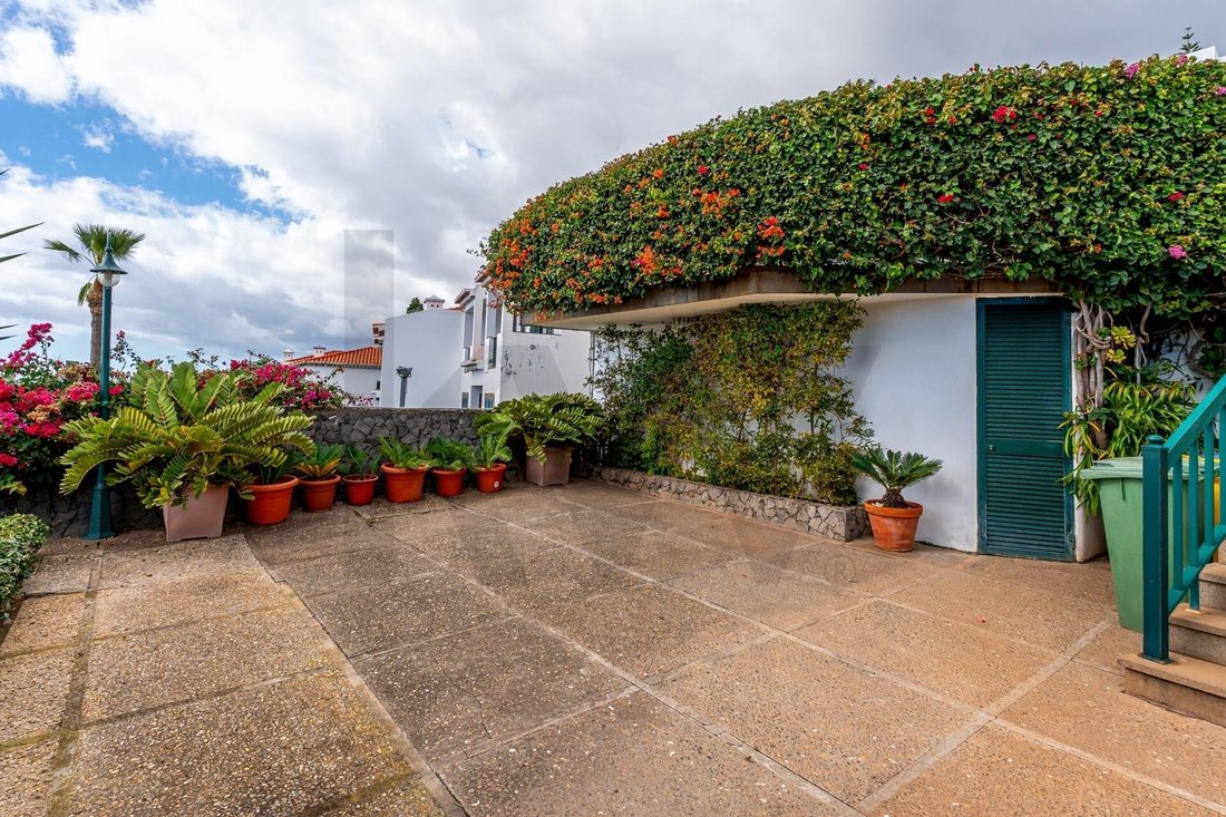 House in Reed, Madeira, Portugal 4 - 17252508