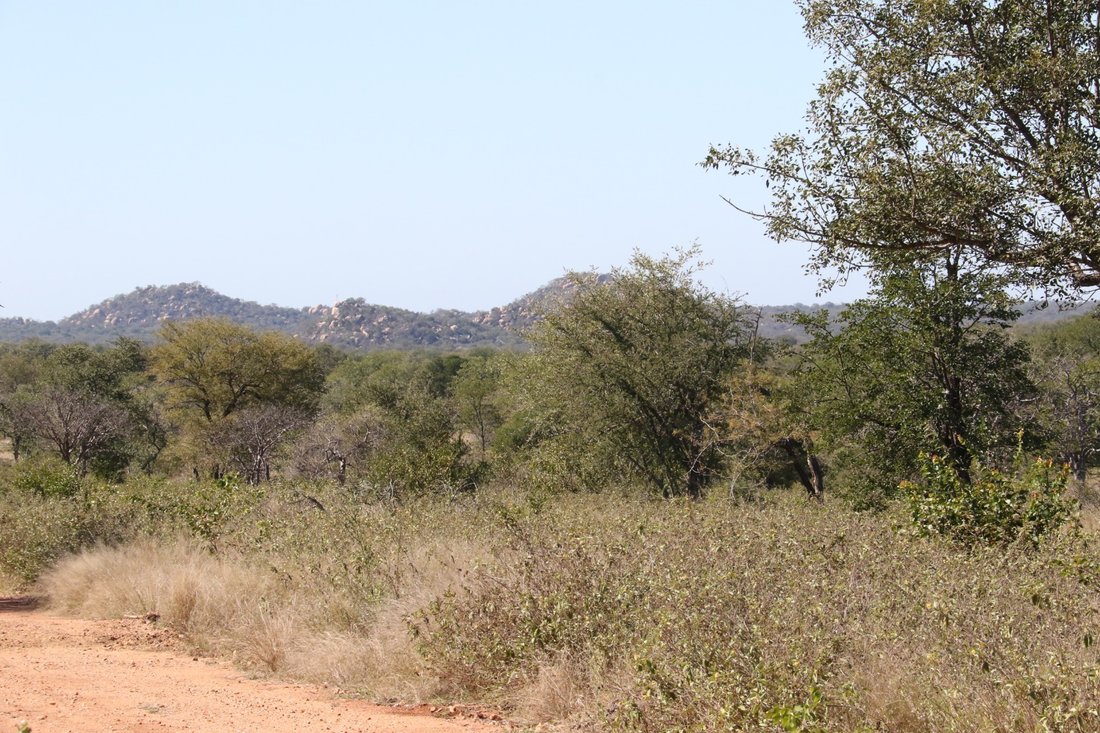 Farm Ranch in Mica, Limpopo, South Africa 3 - 17251212