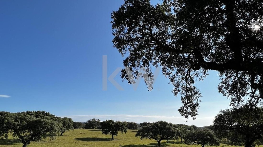 Farm Ranch in Estremoz (Santa Maria e Santo Andre), Évora District, Portugal 2 - 17252732