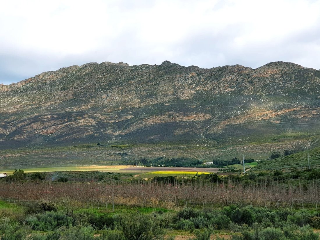 Farm Ranch in Montagu, Western Cape, South Africa 1 - 17253444