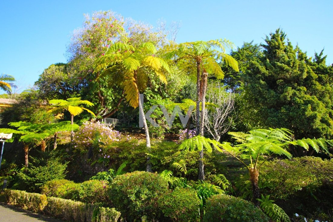 House in Santa Cruz, Madeira, Portugal 2 - 17253503