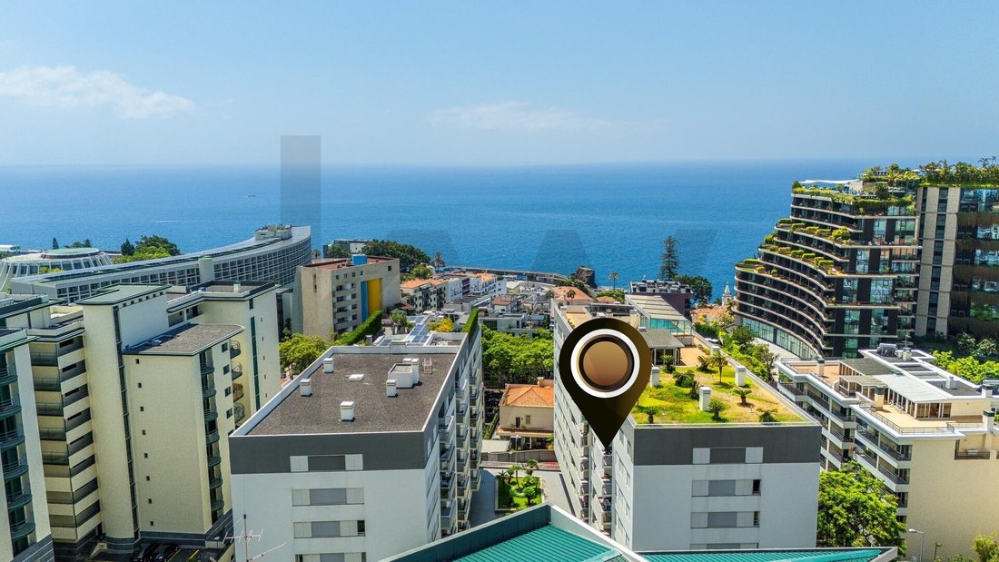 Apartment in Se, Madeira, Portugal 3 - 17253462