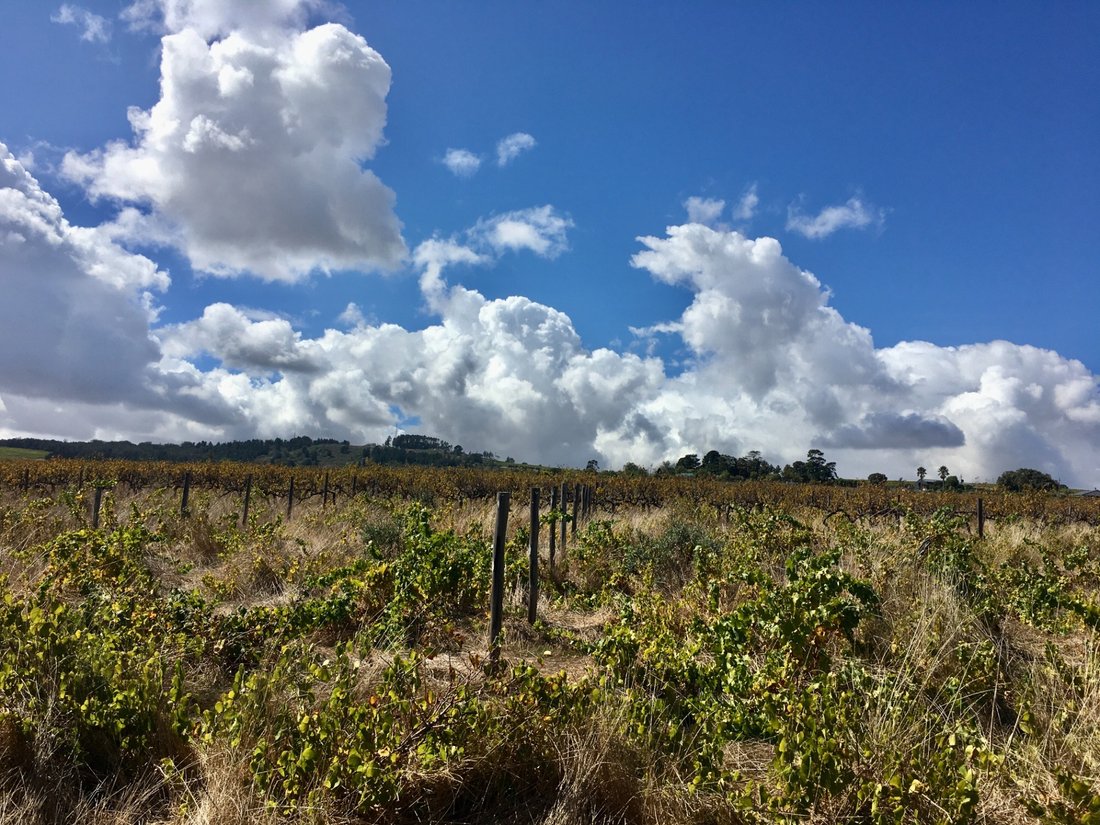 Farm Ranch in Stellenbosch, Western Cape, South Africa 1 - 17253390