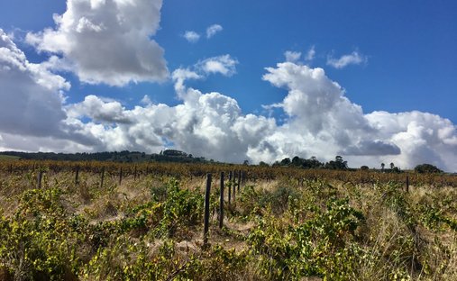 Corps de ferme à Stellenbosch, Cap-Occidental, Afrique du Sud 1
