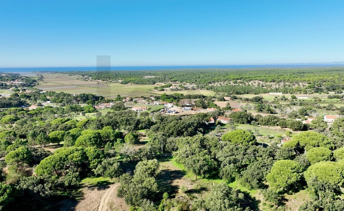 Farm Ranch in Melides, Setubal, Portugal 5 - 17250484