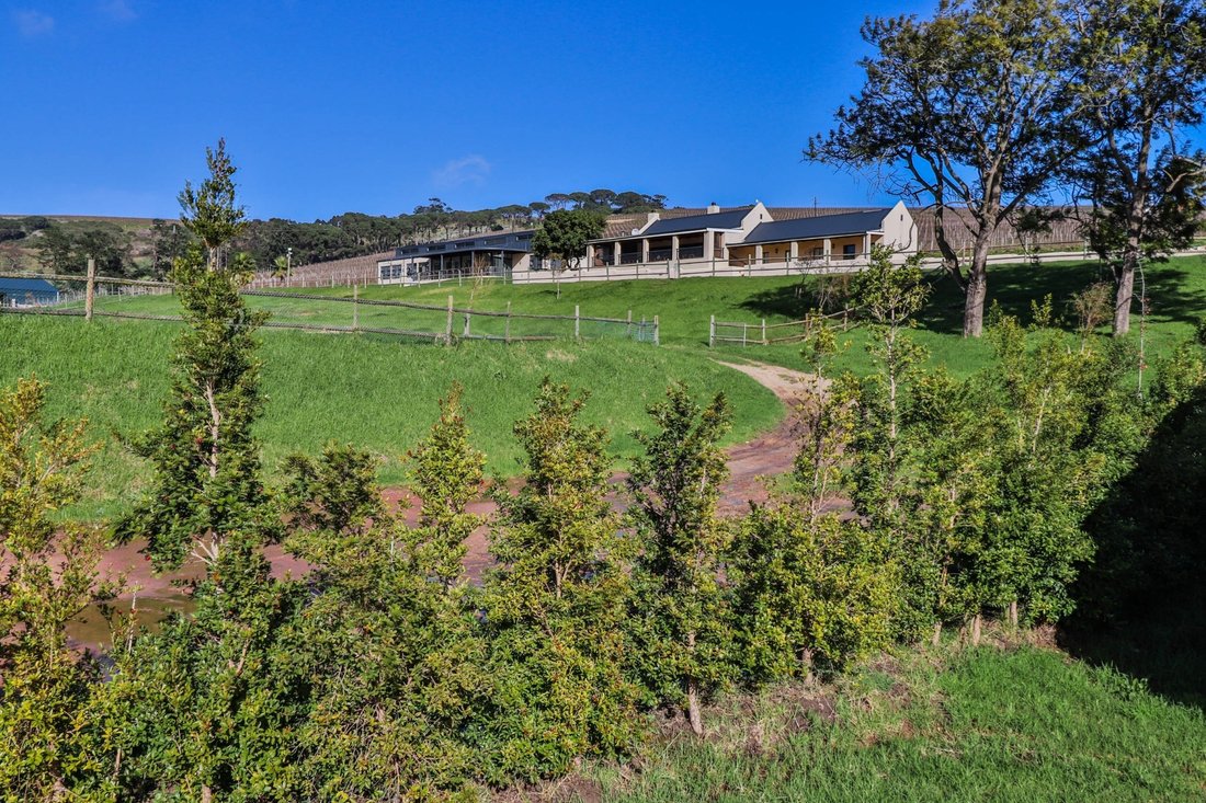 Farm Ranch in Johannesburg, Gauteng, South Africa 2 - 17252190
