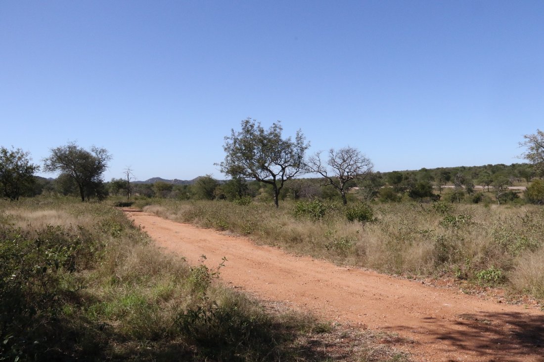 Farm Ranch in Mica, Limpopo, South Africa 2 - 17251212
