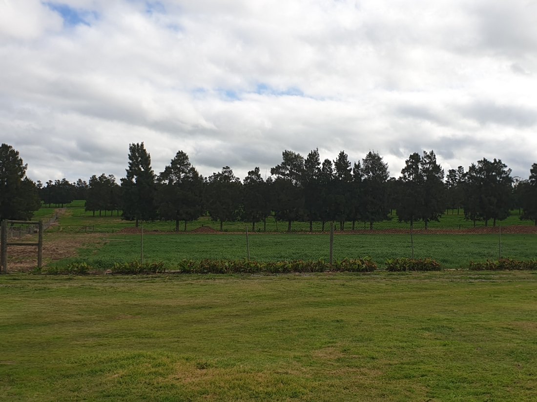 Farm Ranch in Swellendam, Western Cape, South Africa 1 - 17253446