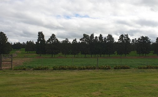 Rancho en Swellendam, El Cabo Occidental, Sudáfrica 1