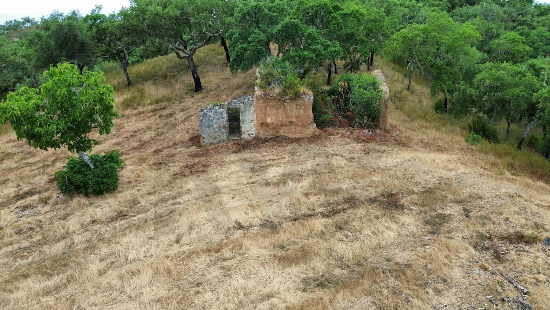 House in Grandola e Santa Margarida da Serra, Setubal, Portugal 5 - 17252995