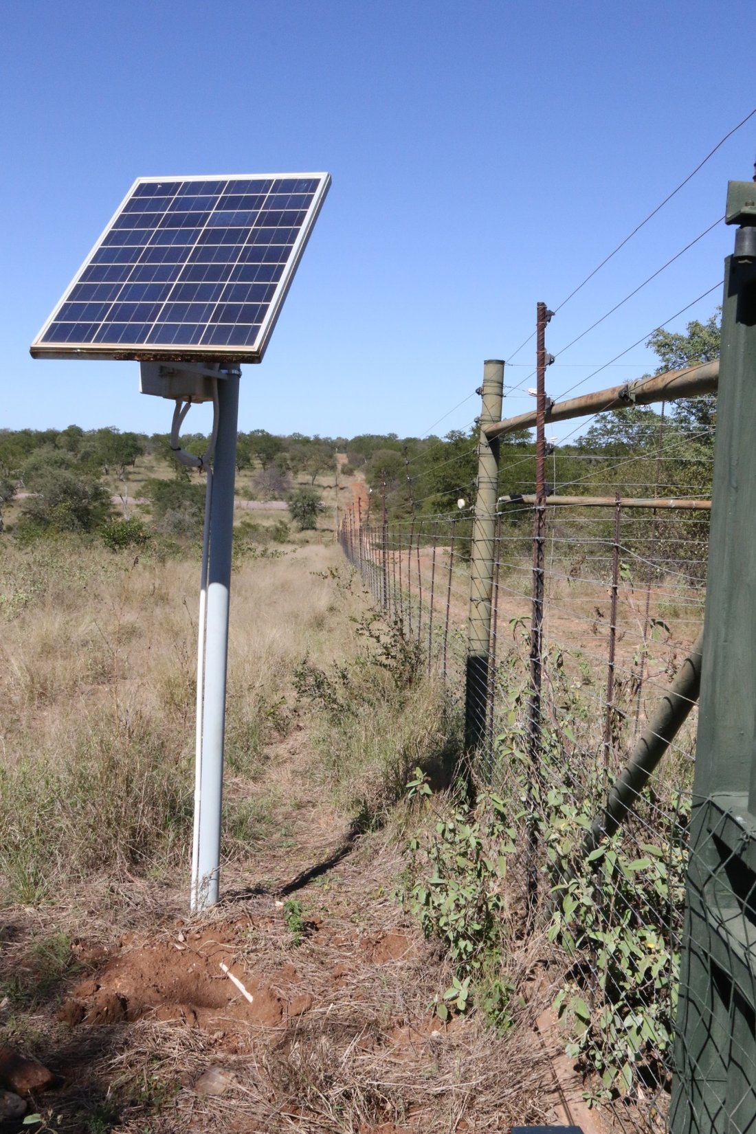 Farm Ranch in Mica, Limpopo, South Africa 5 - 17251212