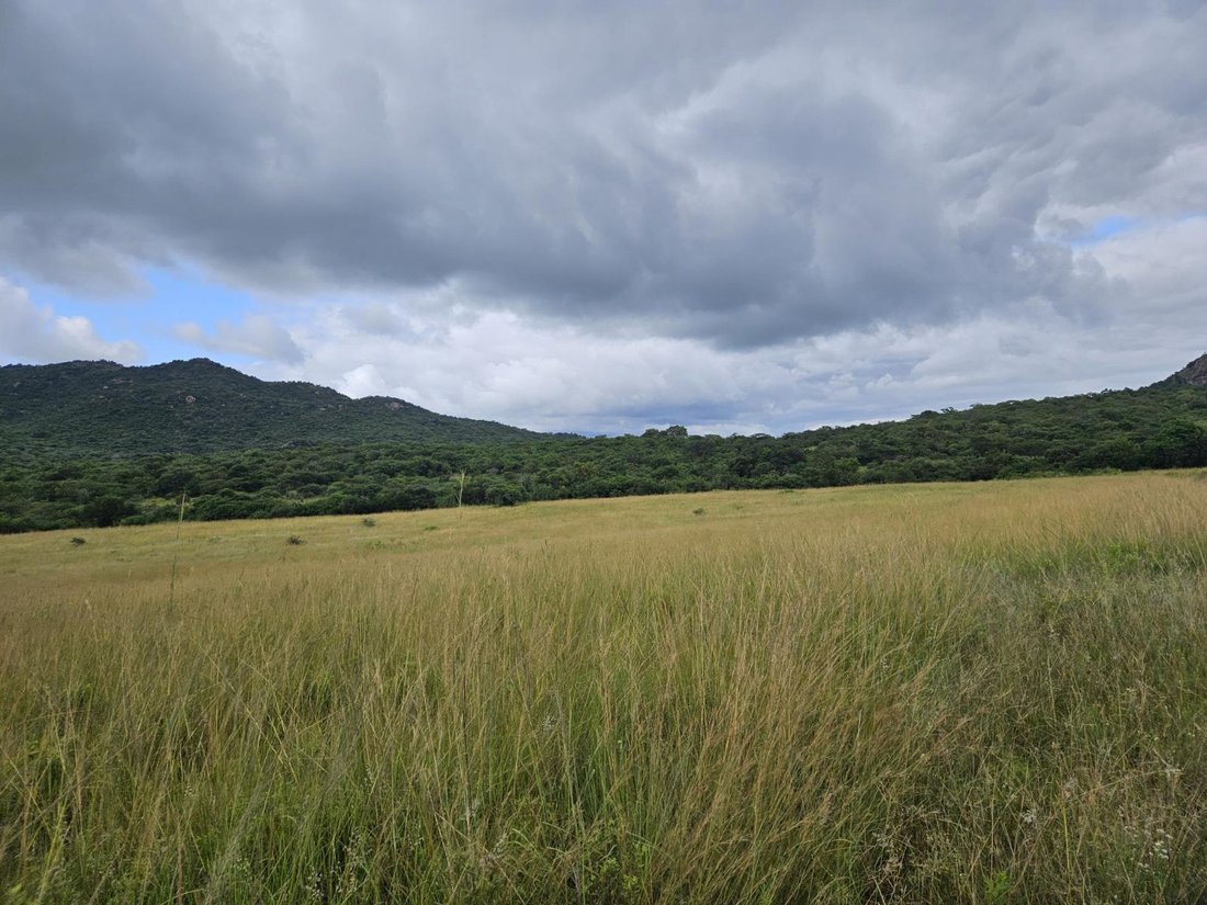 Farm Ranch in Mbombela, Mpumalanga, South Africa 4 - 17256015