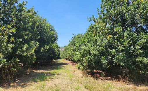 Farm Ranch in Johannesburg, Gauteng, South Africa 1