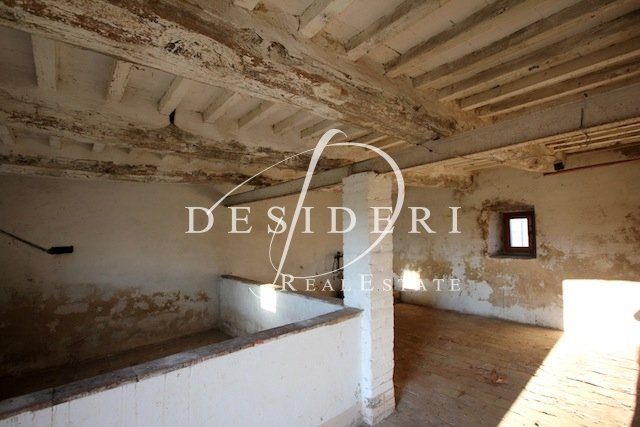 Country House in Scansano, Tuscany, Italy 5 - 17254081