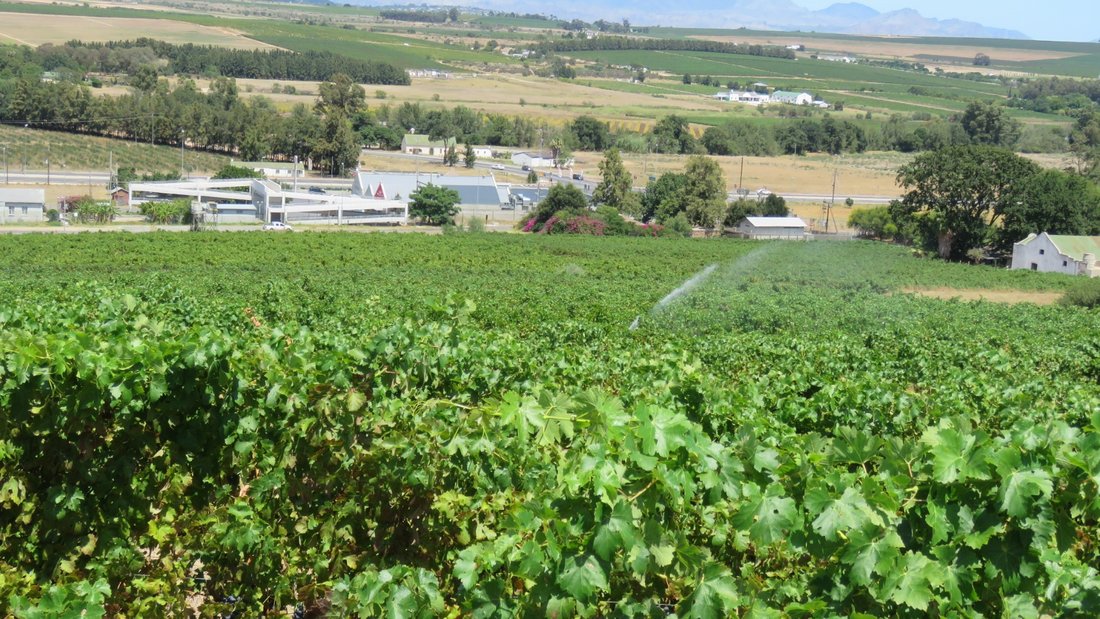 Farm Ranch in Stellenbosch, Western Cape, South Africa 3 - 17253476
