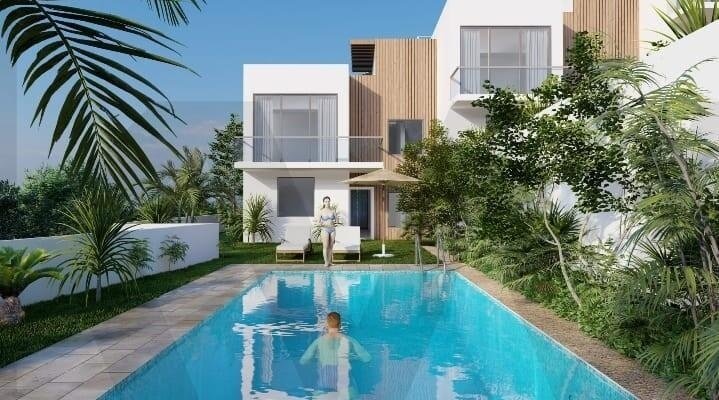 House in Reed, Madeira, Portugal 5 - 17253197