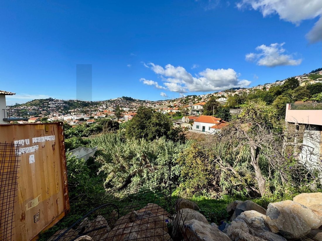 House in Sao Roque, Madeira, Portugal 5 - 17253032