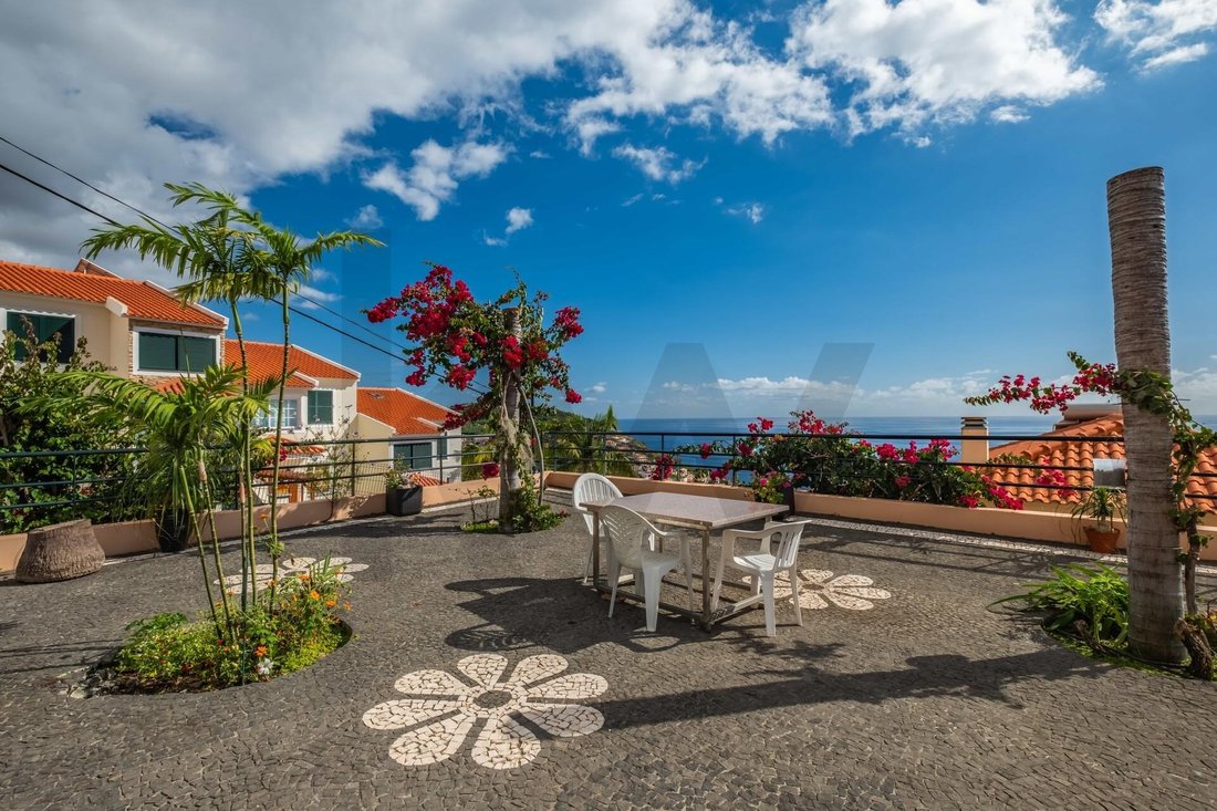 House in Camara De Lobos, Madeira, Portugal 5 - 17251774