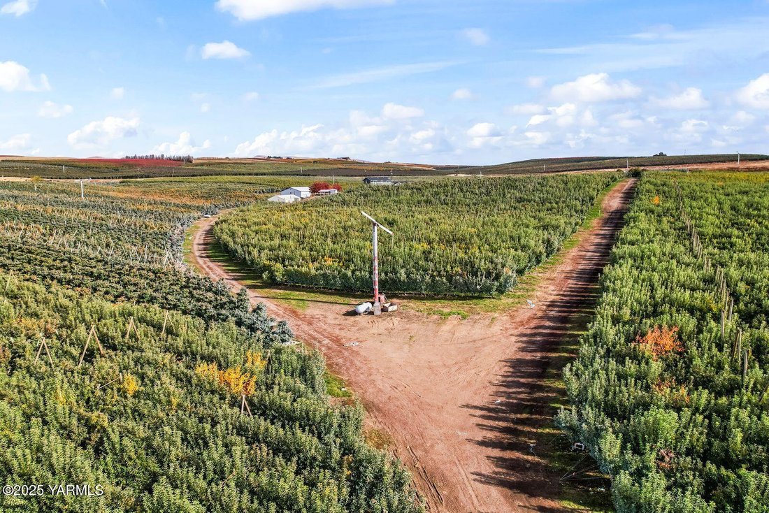 Land in Zillah, Washington, United States 2 - 17248950