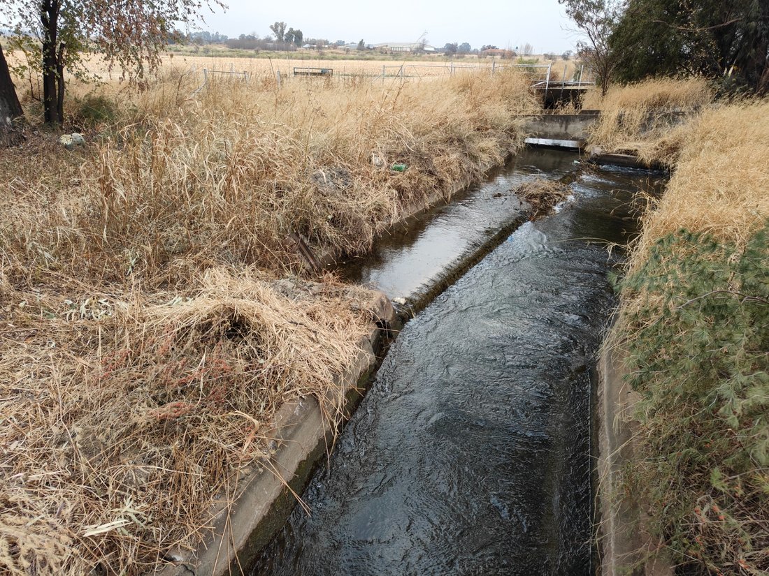 Farm Ranch in Johannesburg, Gauteng, South Africa 3 - 17252810