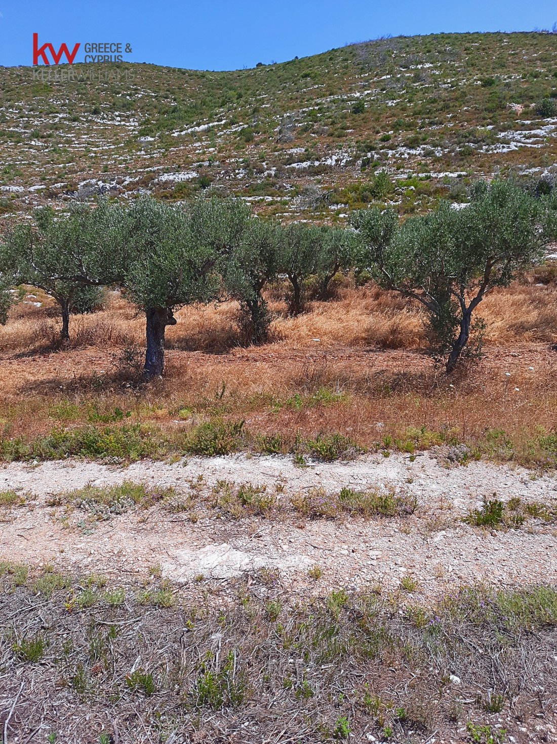 Land in Marion, Elaties, Greece 4 - 17249433