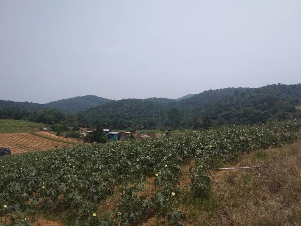 Rawang, Selangor, Malaysia 4 - 17251625