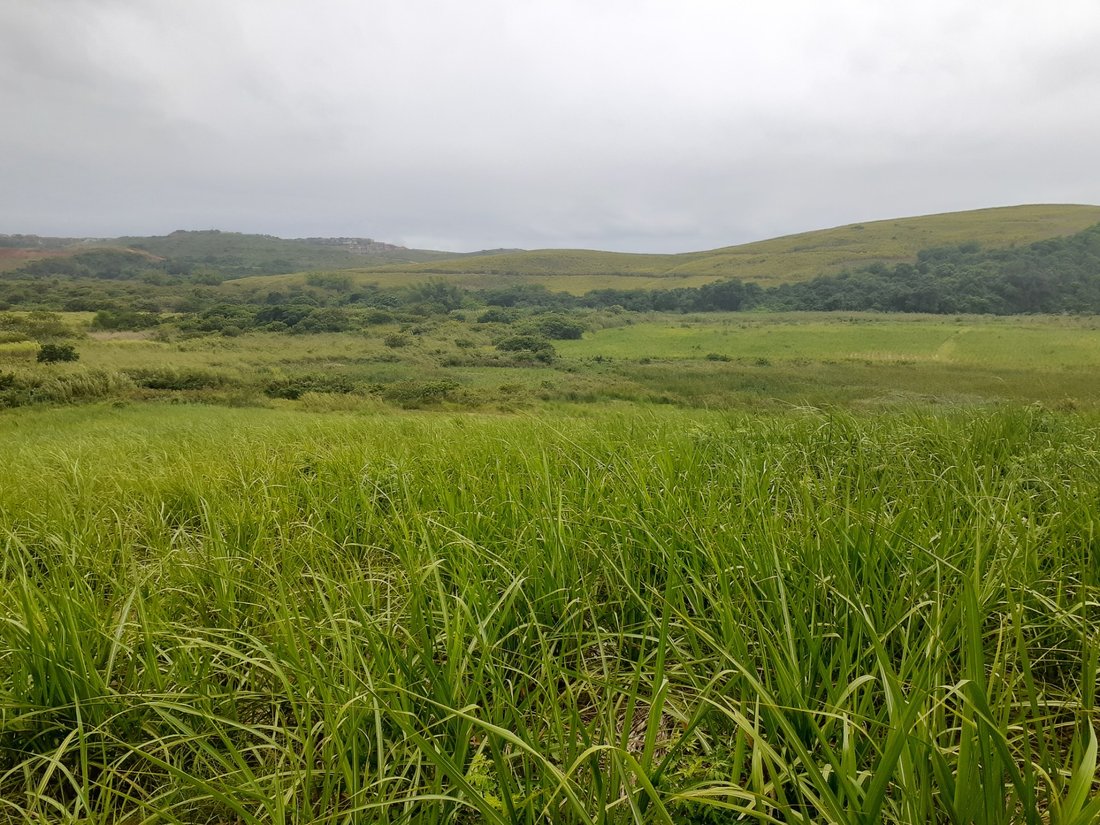 Rancho en Dolphin Coast, KwaZulu-Natal, Sudáfrica 3 - 17249615