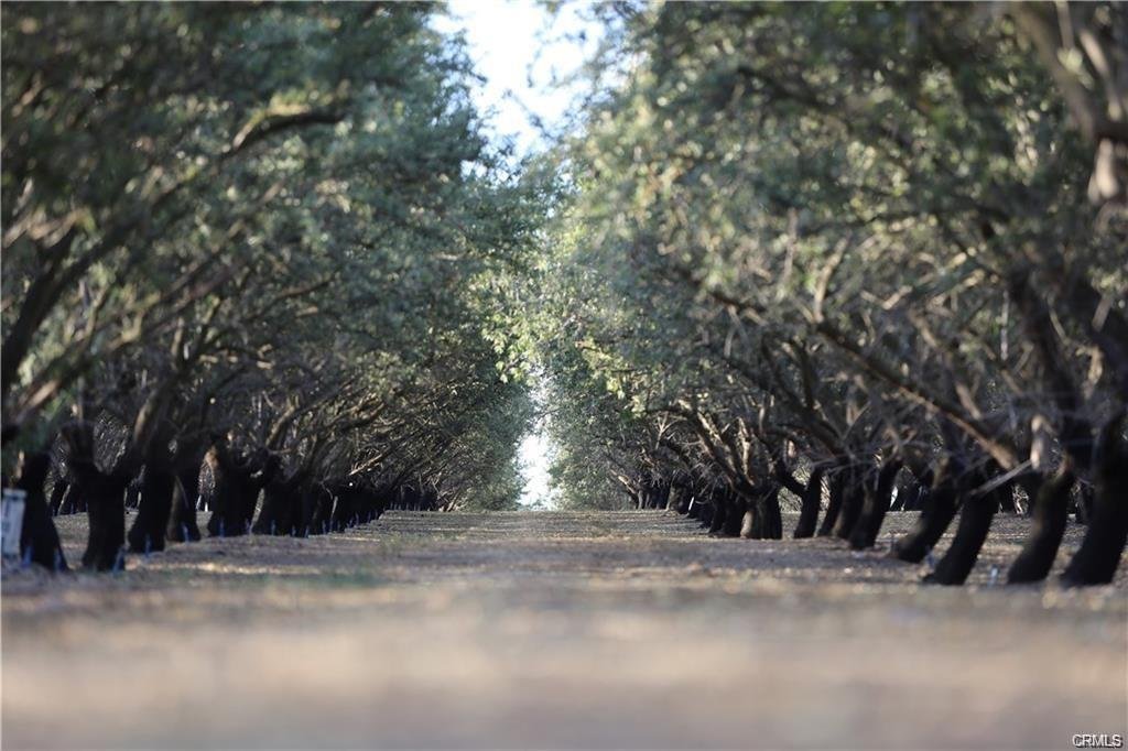 Farm Ranch in Denair, California, United States 5 - 17248802