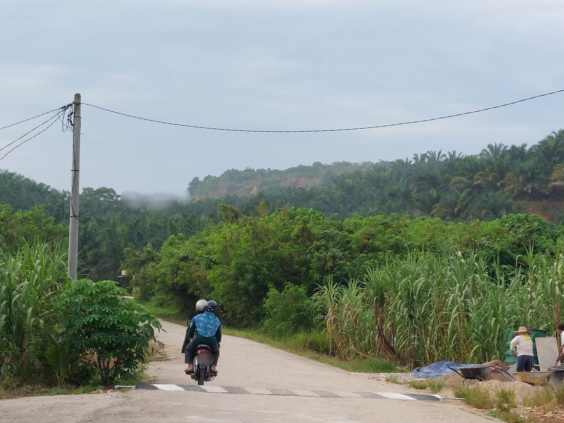 Raub District, Pahang, Malaysia 3 - 17251375