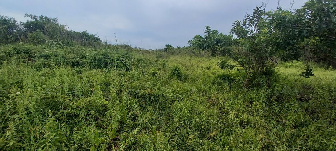 Land in Johannesburg, Gauteng, South Africa 3 - 17248646