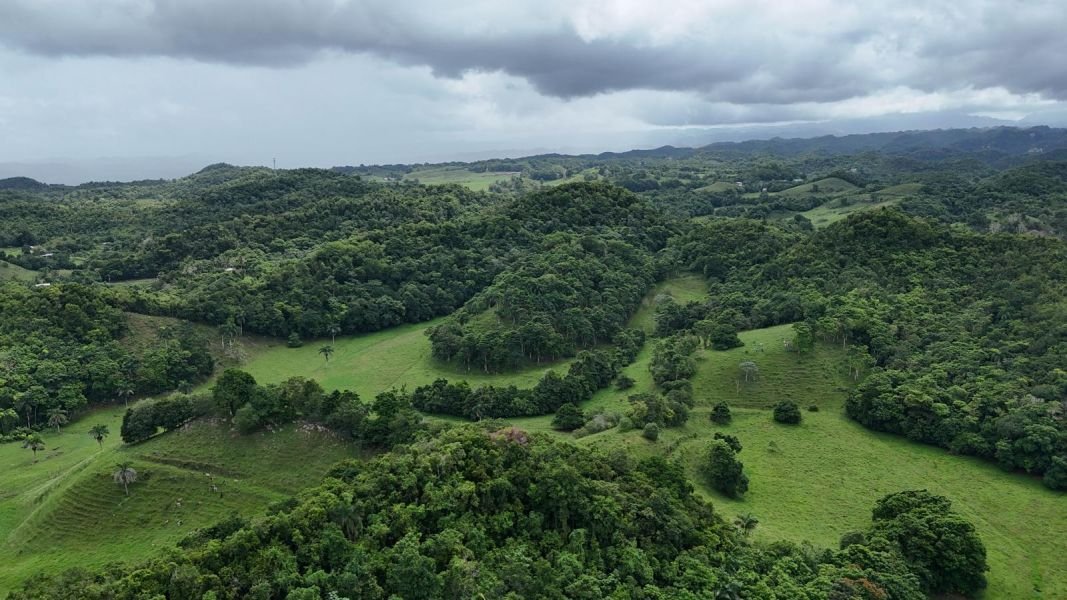 Land in Manatí, Manatí, Puerto Rico 5 - 17248934